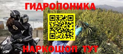 прущий лед Бердск