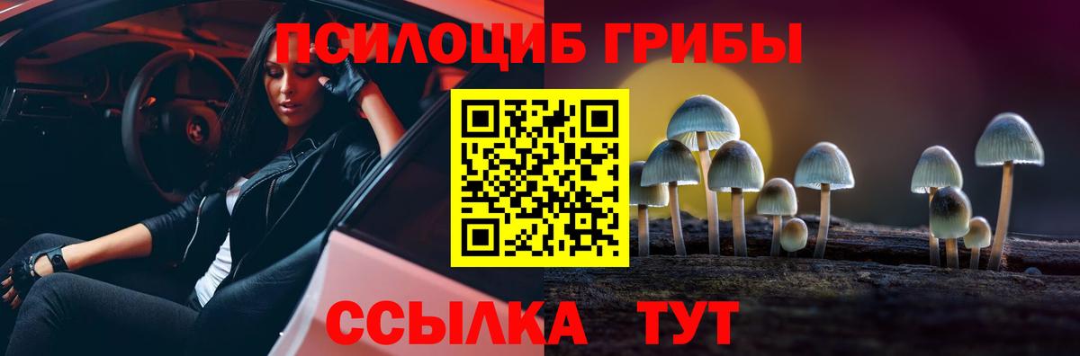 Псилоцибиновые грибы Cubensis  Галлюциногенные грибы ЛСД  Вход с VPN  Камышин 